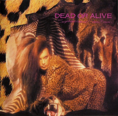 Dead Or Alive - Discography 