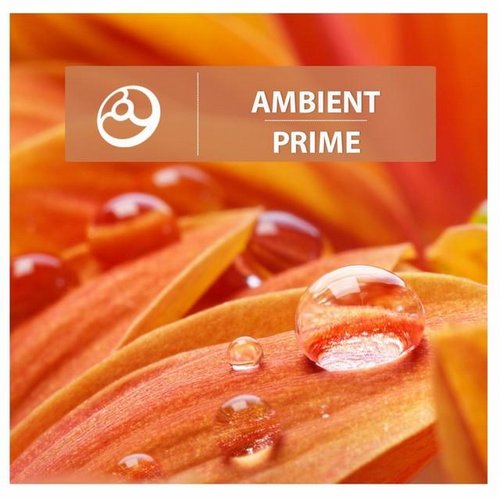 VA - Ambient Prime, Treasure 