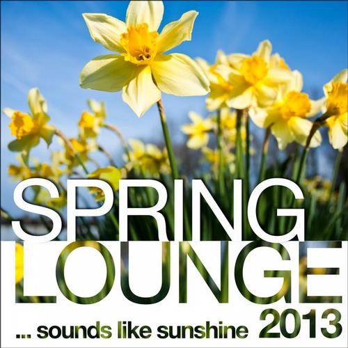 VA - Spring Lounge 2011-2013 
