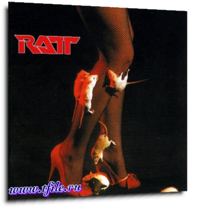 Ratt -  