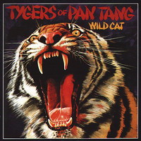 Tygers of Pan Tang -  